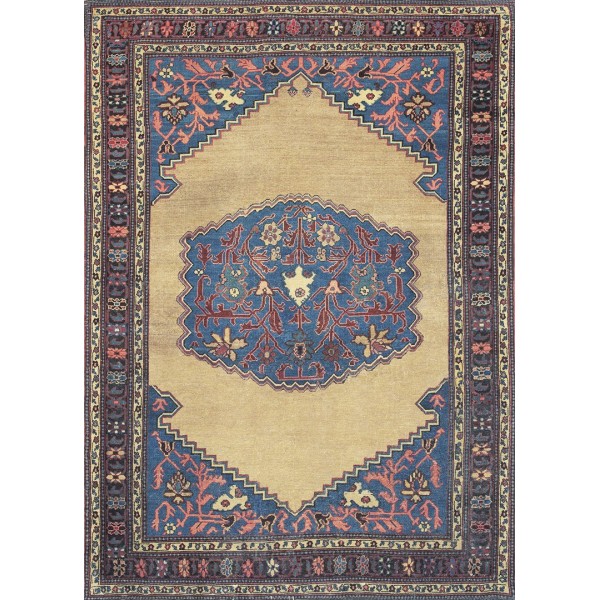 19th Century N.W. Persian Bakshaiesh Carpet