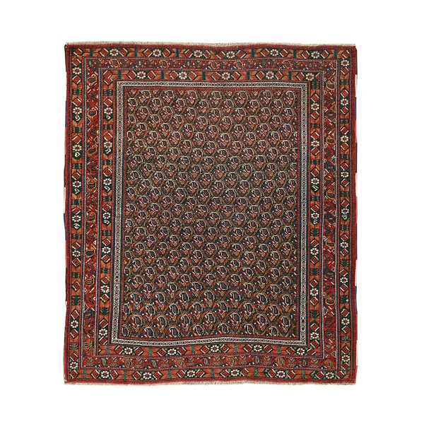 Afshar #4895