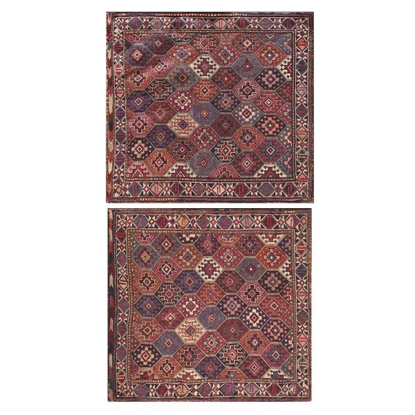 Caucasian - Sumak #6808