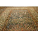 Agra #18150