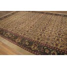 19th Century N. Indian Amritsar Carpet 