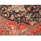 Bakhtiari #18912
