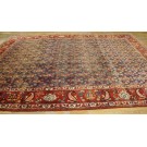 1930s Persian Bakhtiari Paisley Carpet 