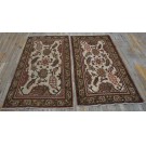 19th Century Pair of N. Indian Agra Carpets