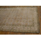 Agra - Cotton #19972