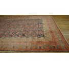 Early 20th Century Central Asian Khotan Carpet