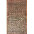 19th Century W. Persian Senneh Carpet 