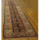 N.W. Persian #21317
