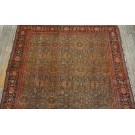 Late 19th Century W. Persian Senneh Carpet