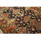 Bakhtiari #23672