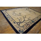 Chinese - Peking #23726