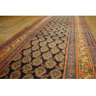 N.W. Persian #24286