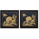 Chinese - Peking #24694