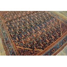 Malayer #24857