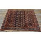 Malayer #24857