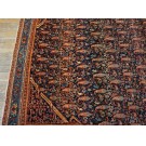 Malayer #24857