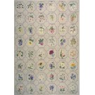 Early 20th Century English Needlepoint Carpet with US State Flowers