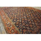 Mid 19th Century W. Persian Bijar Carpet