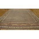 Moud #40-1423