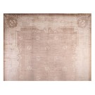 Early 20th Century Austrian Savonnerie Carpet 