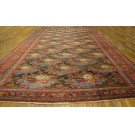 N.W. Persian #40-232