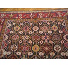 Caucasian - Shirvan #40-2811