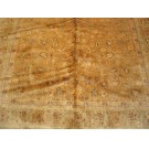 Agra #40-619
