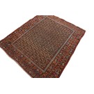 Afshar #4895