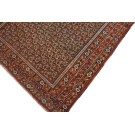 Afshar #4895