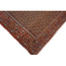 Afshar #4895