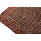 Afshar #4895