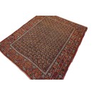 Afshar #4895