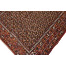 Afshar #4895
