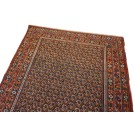 Afshar #4895