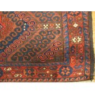Baluch #5504
