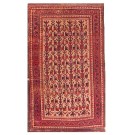 Baluch #5584