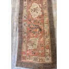 Agra #6278