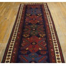 Caucasian - Talish #6520