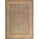 Early 20th Century N. Indian Amritsar Carpet 