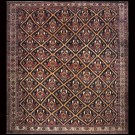 Bakhtiari #40-2415