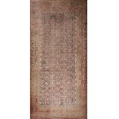 Early 20th Century Central Asian Khotan Carpet