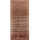 Malayer #18893