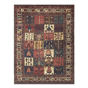 Bakhtiari #18905
