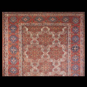 Bakhtiari #40-3347