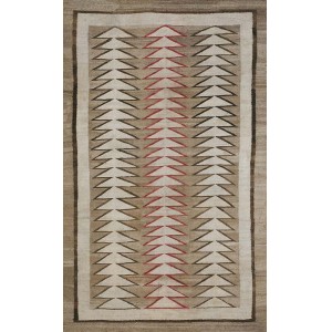 Navajo #21311